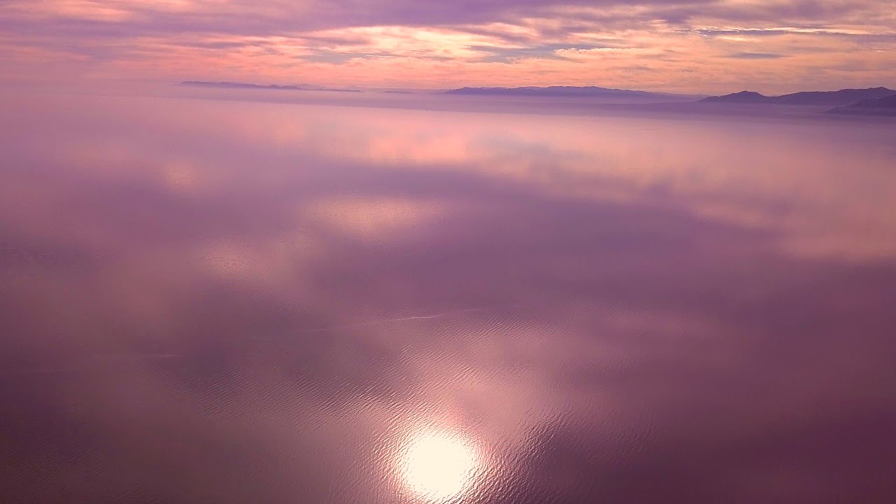V A N I L L A  Z U R P L E [music by ZEETOX]